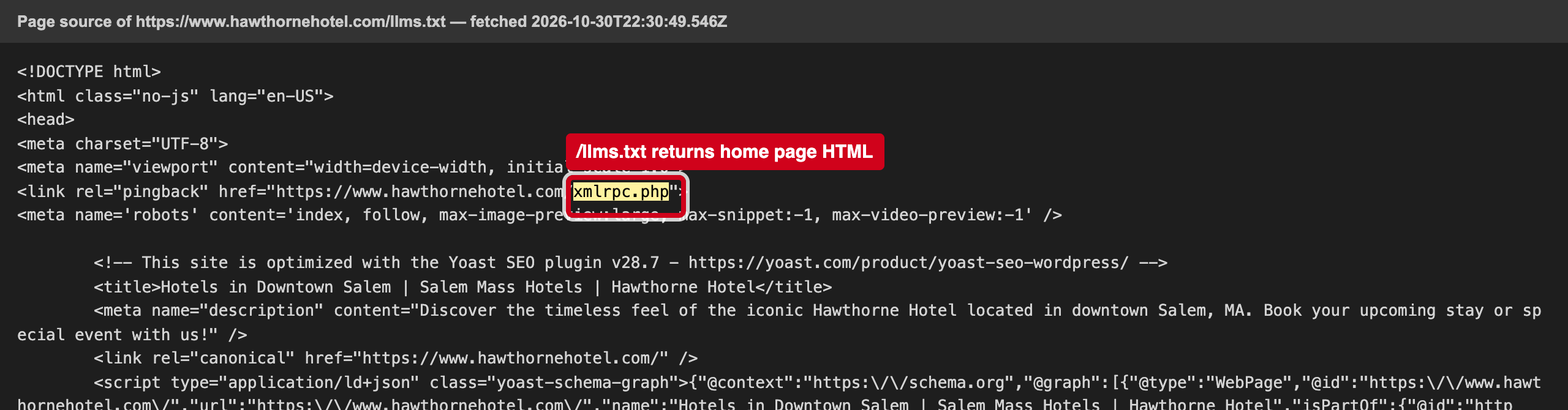 Screenshot: /llms.txt serves your home page